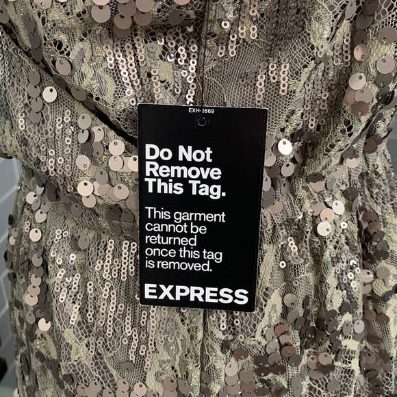 Express Large Pewter Dress - Picture 4 of 6